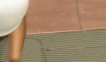 微信圖片_20211204102010.gif