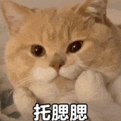 微信圖片_20220424095115.gif
